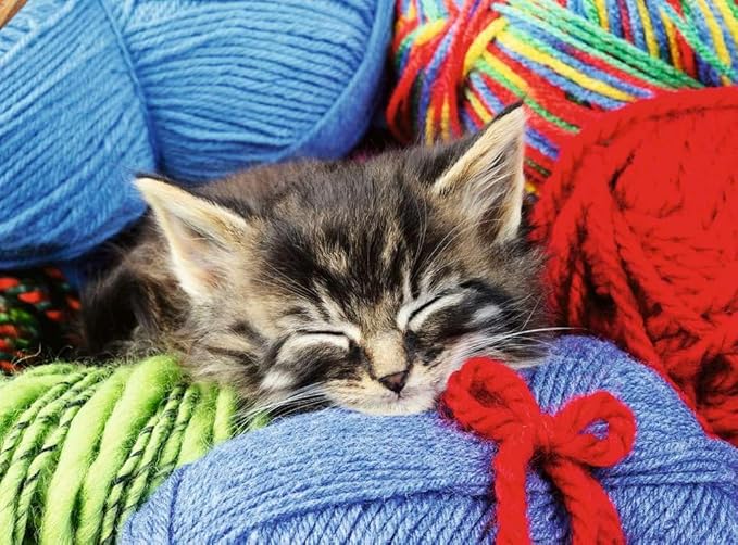Casse-tête Ravensburger –Chatons dans la laine – 100 pièces XL