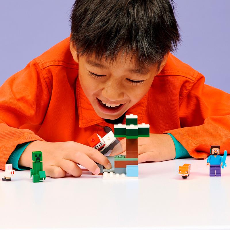 LEGO Minecraft - L'aventure de Steve et Taiga