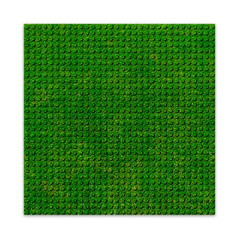 Brixies – Grass Building Plate 25 cm