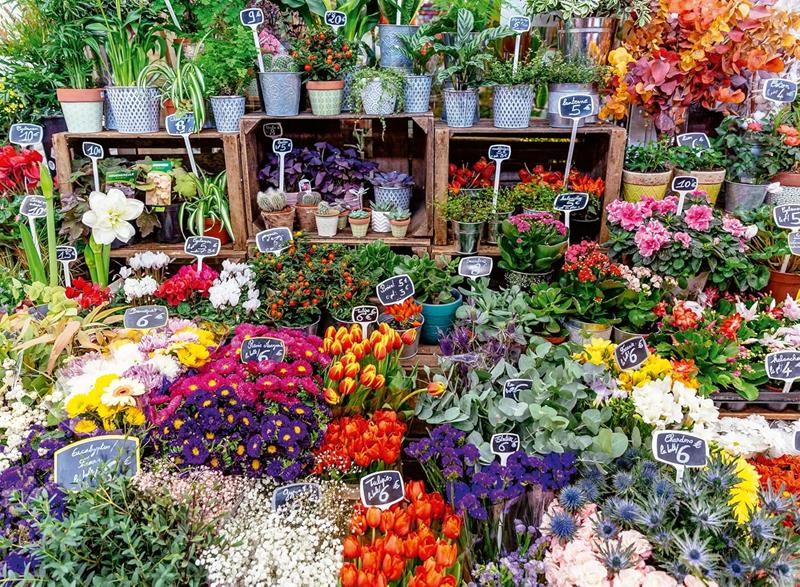 Ravensburger Puzzle – Flower Market in France – 500 Pieces
