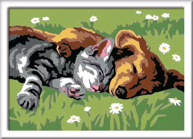 Paint by Numbers – CreArt: Sleeping Cat and Dog
