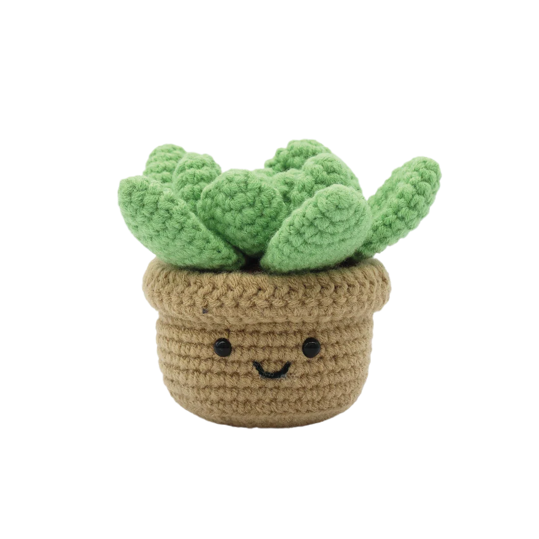 DIY Crochet Kit - Succulent