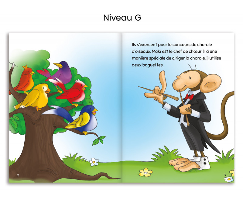 Escalire Set – 2nd Grade (Levels G to J)