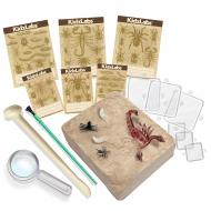 KidzLabs - Kit de Fouille Creepy Crawly