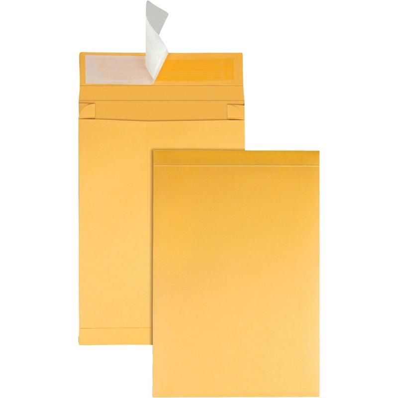 Image Enveloppe kraft expansible Redi-Strip™