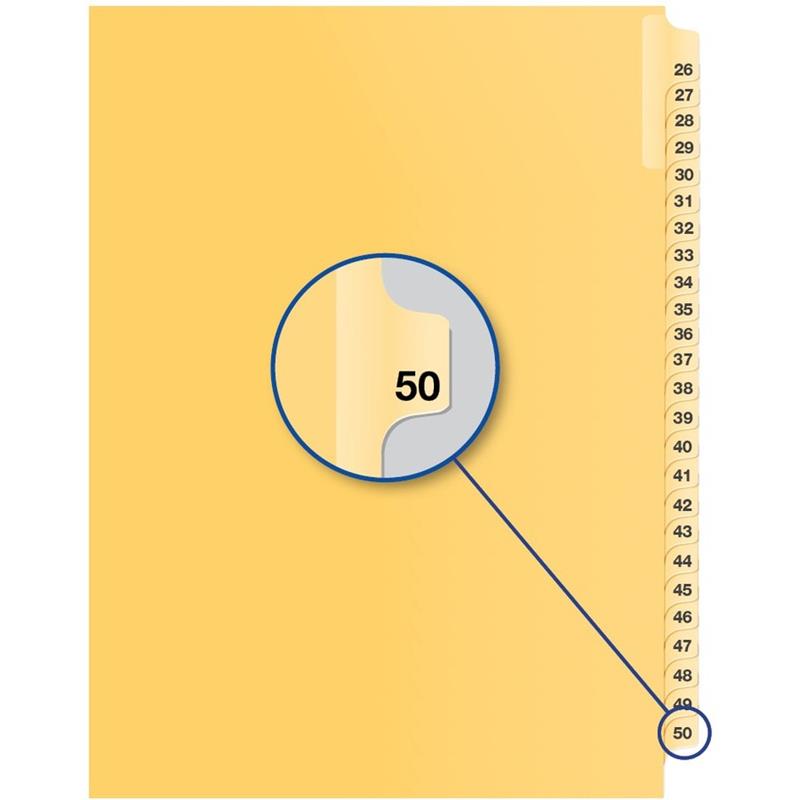 Image Individual Numerical Litigation Index Dividers