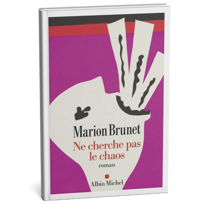 Ne cherche pas le chaos
